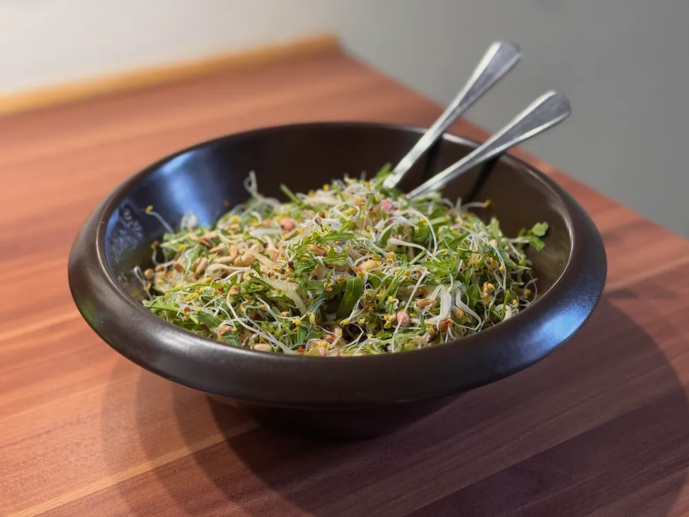 Sprout salad with arugula and sunflower seeds.